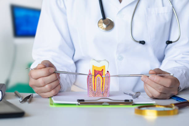 Best Weekend Emergency Dentist in Sumner, IL